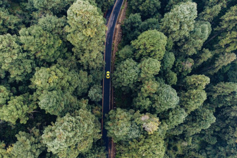 marketing de contenidos turisticos